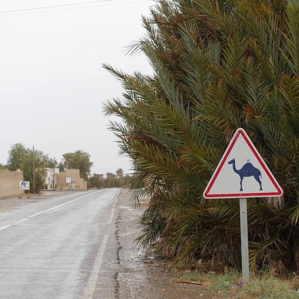 Meet your Posher, Andi